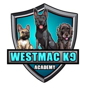 Animal Cartoon Mascot logo design